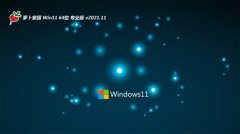 ܲ԰win11 64λƼv2021.11