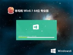 ëwin8.164λרڲv2024.04