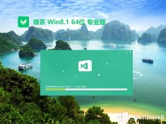 ̲ϵͳ64λwin8.1ȶv2025.05