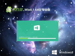 ײv2024.04win8.1 64λ人