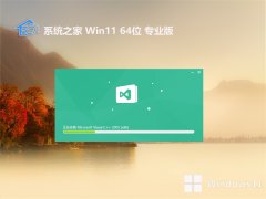 ϵͳ֮⼤win11 64λǿv2024.05