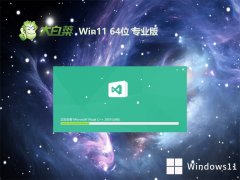 ײwin11 64λv2025.05