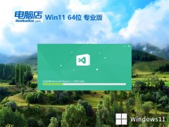 Ե⼤win11 64λȫ¸ɾv2025.05