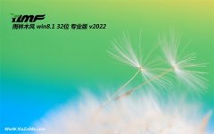 ľwin8.132λװ콢v2021.12