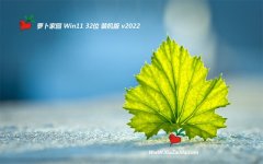 新萝卜家园最新win11 32位不死机中文版v2021.12
